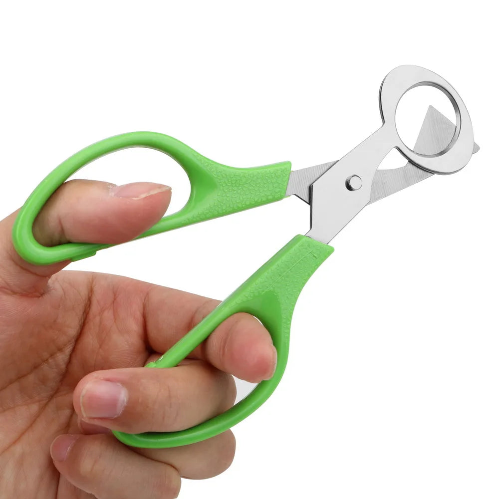 Quail Egg Scissors- Stainless Steel Blade (Rust Resistant)