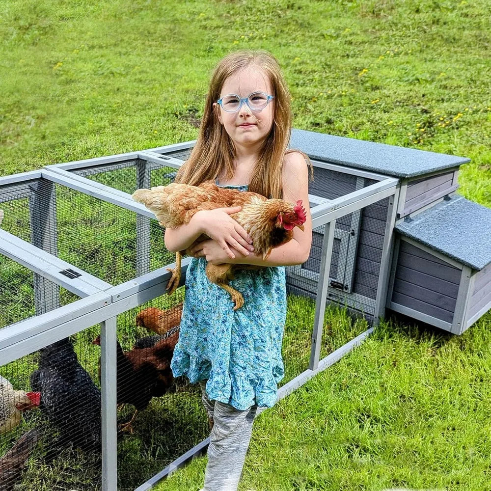 Outdoor Quail Cage with Large Run, Suitable for 6-10 Quail